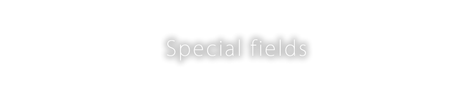 Special fields