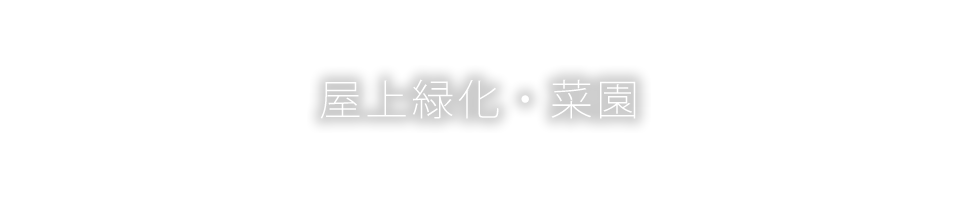 屋上緑化・菜園